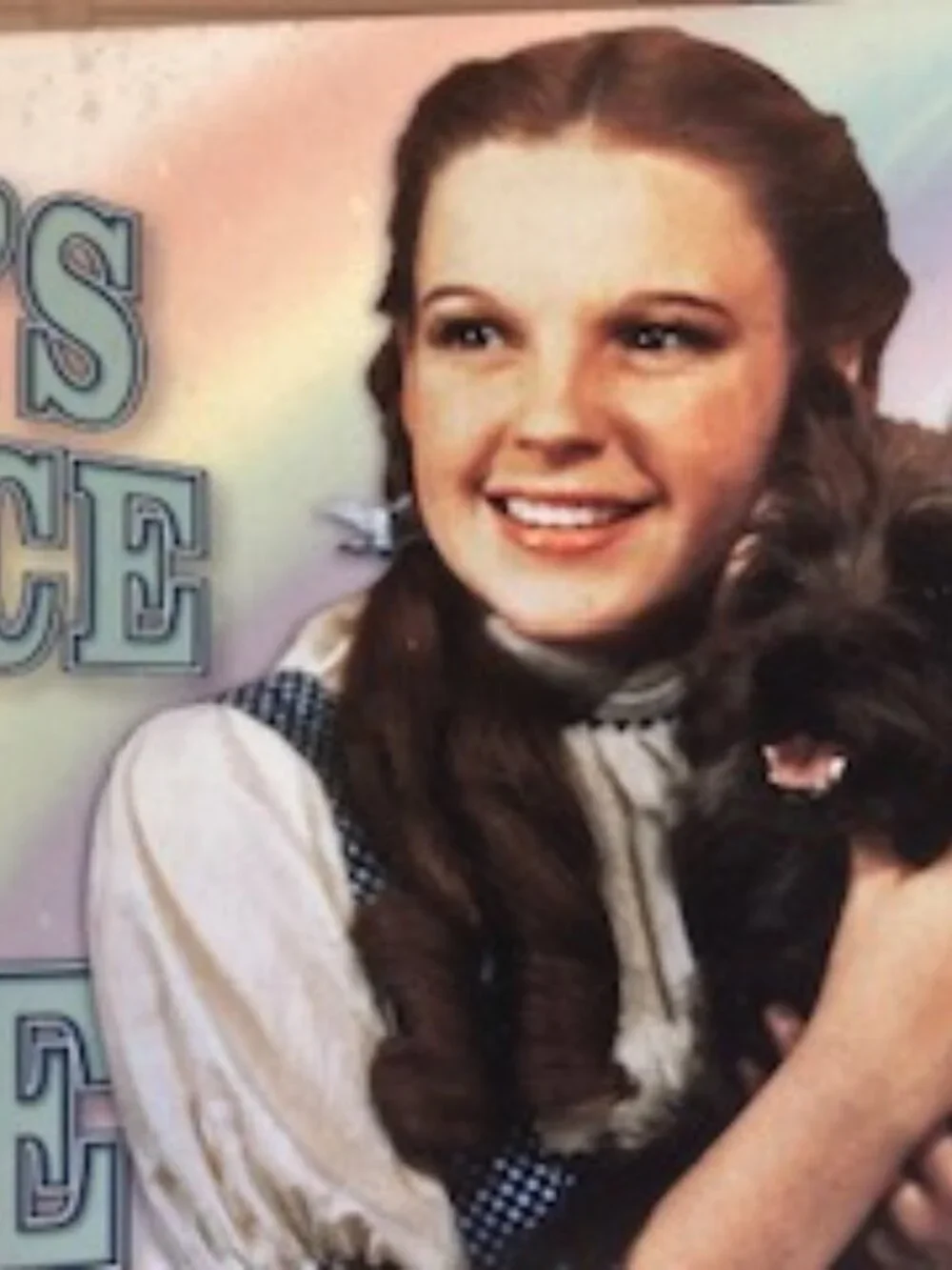 WIZARD OF OZ TIN SIGN